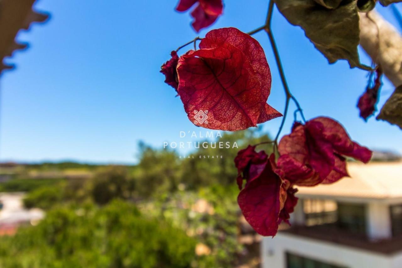 D'Alma Falésia Beach Apartment Albufeira Extérieur photo